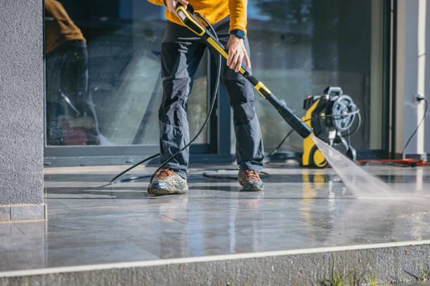 Animal Enclosure Cleaning in North Arlington, NJ